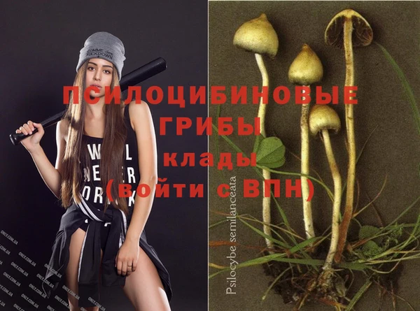 амф Армянск