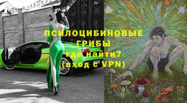 шишки Нязепетровск