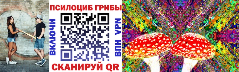 omg сайт  как найти   Баймак  Псилоцибиновые грибы ЛСД 